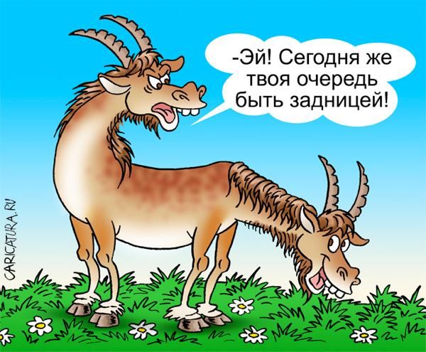 Коля-Тяни-Толкай или новая «гаврилиада» Николая Кураленко