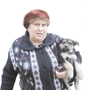 Сирота попал в Волоколамск