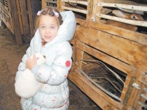 Клыкастый разбой