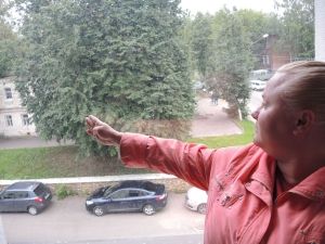 Дом зарос