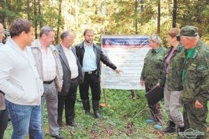 По команде – все в лес