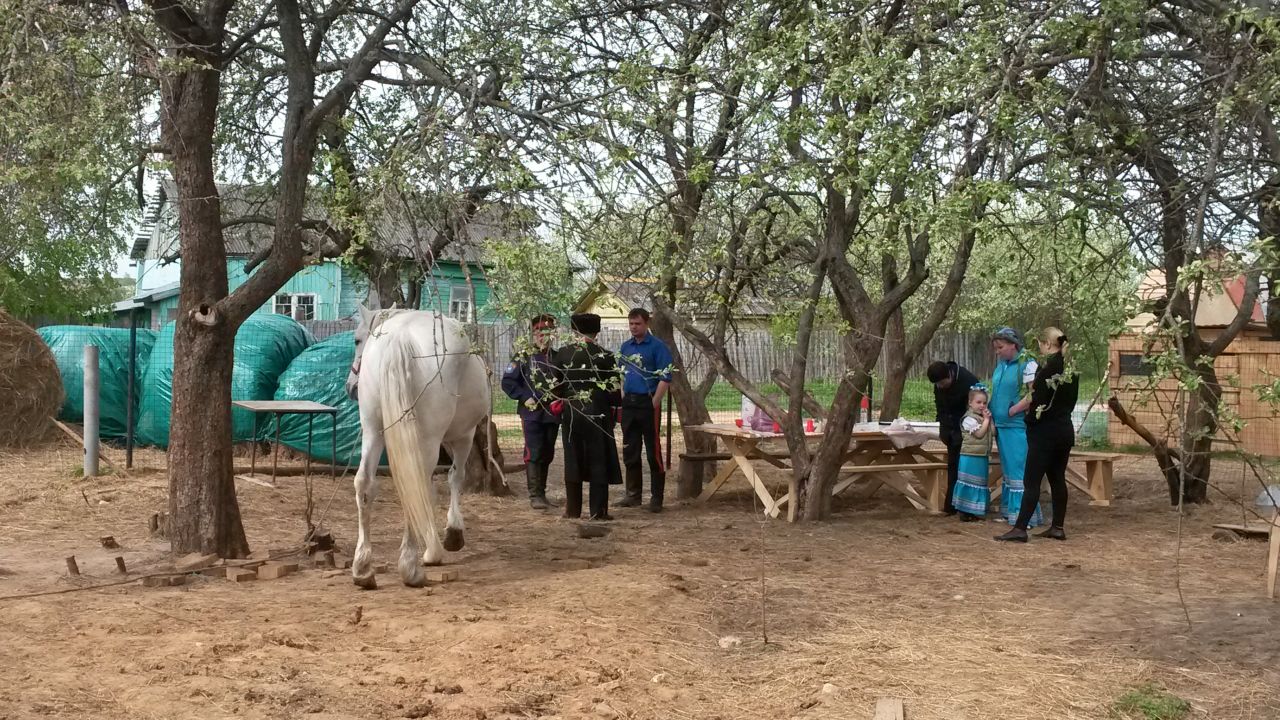 Общественный музей в деревне Быково