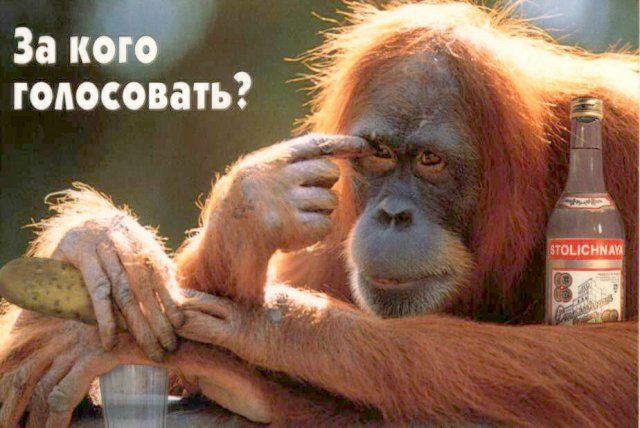 Всего два кандидата