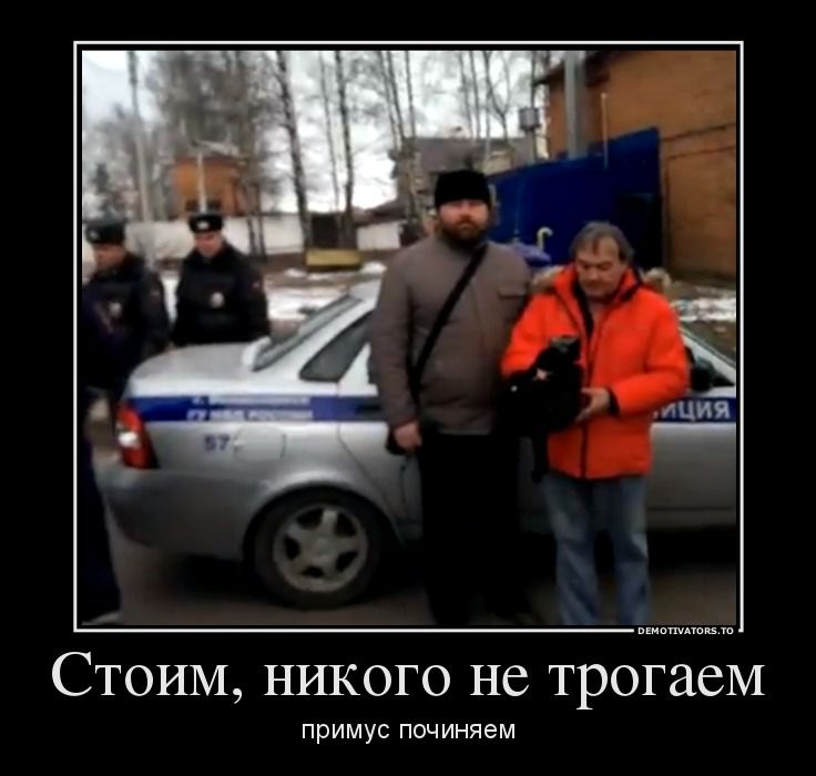 Кот Бегемот и профессор конфликтологии или Инцидент на Пушкарях