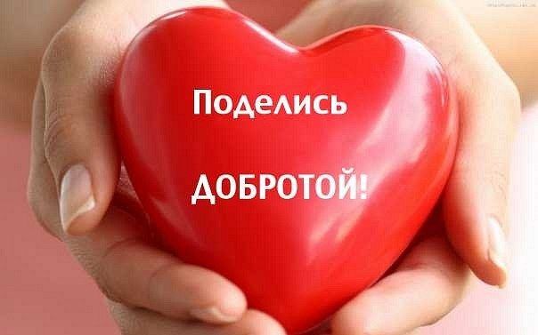 Отдам даром #1: Ищем новых хозяев