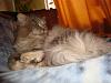 DSC01576.jpg