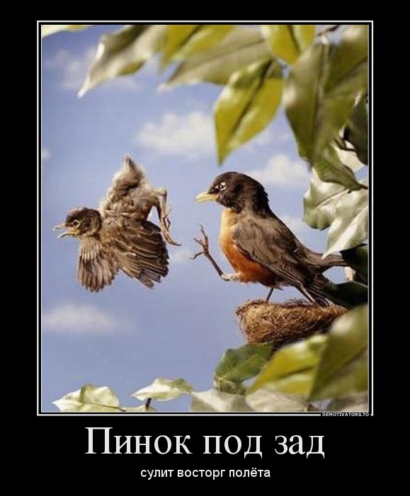 986386_pinok-pod-zad_demotivators_ru.jpg