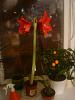 DSC00272.JPG