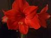 DSC00273.JPG