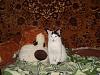 DSC00462.jpg