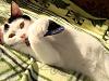 DSC00328.jpg
