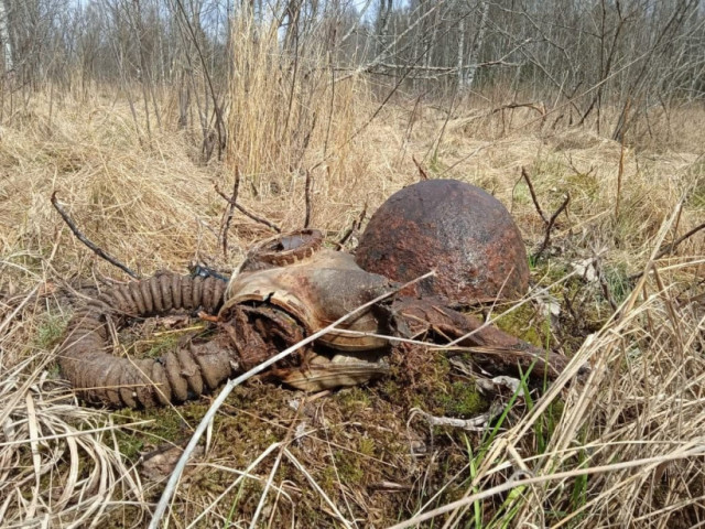 В клинских лесах нашли бомбардировщик времён войны