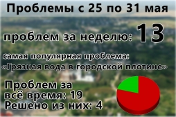 Проблемный Волоколамск #2 (25-31 мая)