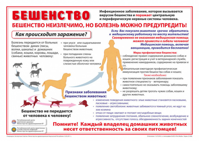 Таджик умер в больнице от бешенства