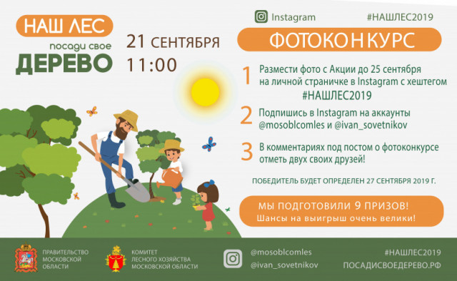 Подведены итоги фотоконкурса "Наш лес 2019"