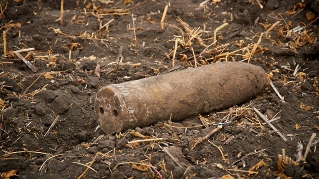 Боеприпас времен ВОВ обнаружили в СНТ «Кристалл» в Волоколамском округе