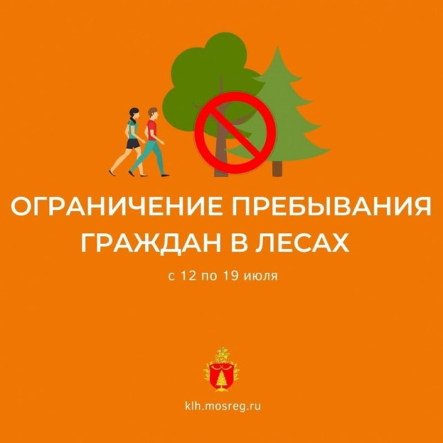 Въезд в леса под Волоколамском ограничен из-за жары до 19 июля
