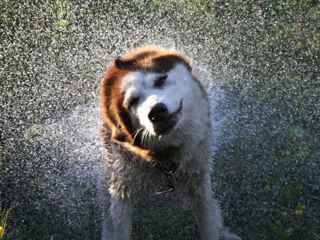 Уже в субботу вернётся в Волоколамск климатический июль