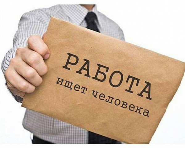 С начала года в Волоколамском районе трудоустроено 368 человек