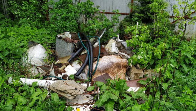 Волоколамские лесничие обнаружили множество нарушений в окрестных лесах