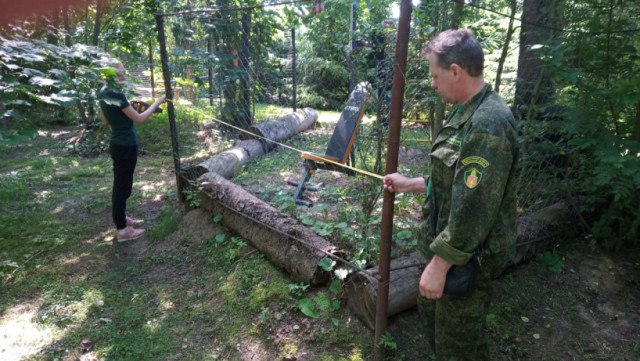Волоколамские лесничие обнаружили в лесу подпольный «фитнес-центр»