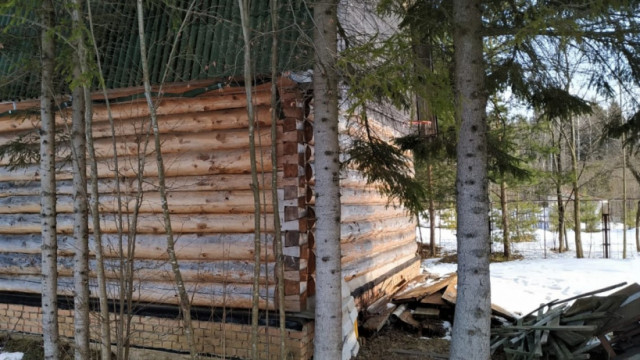 Волоколамские лесничие нашли незаконную баню