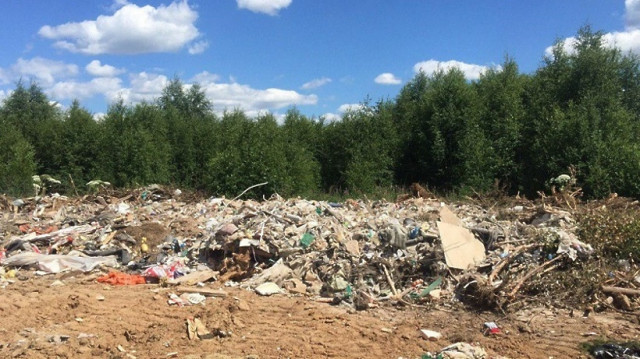 Обнаружена незаконная свалка в Волоколамском городском округе
