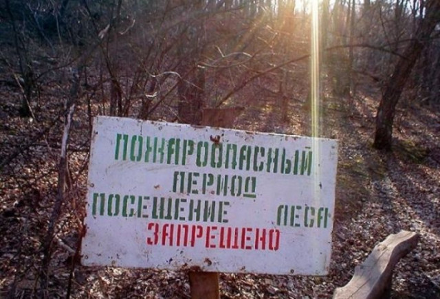 Пожары в лесах могут начаться уже в середине марта