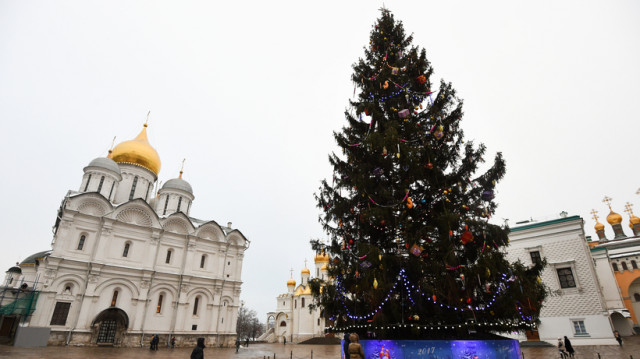 В 2011 году главная ёлка страны была родом из Волоколамска