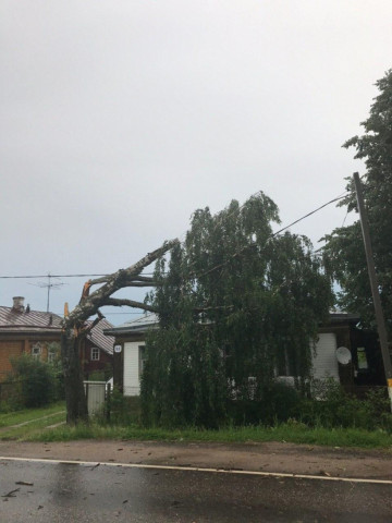 Волоколамские энергетики заявили, что справились с последствиями стихии