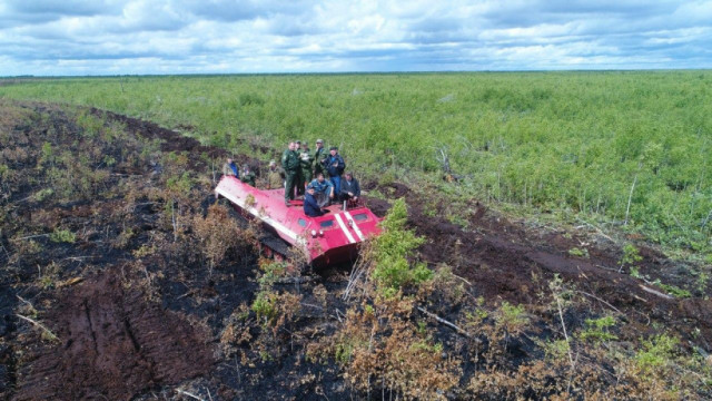 Торфяники Подмосковья обезопасят от огня, не дожидаясь пожароопасного сезона