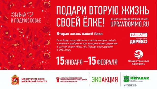 Пункты приёма новогодних ёлок начали работать в Волоколамске и Сычёво