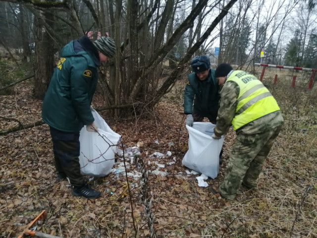 Лесники навели порядок около деревни Федюково