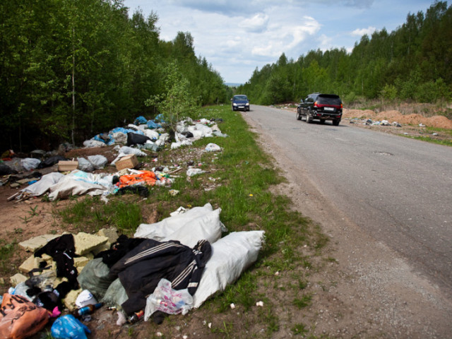 Придорожные территории нуждаются в уборке не меньше леса