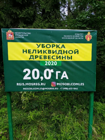 Вырубка лесов в Волоколамском лесничестве остановлена