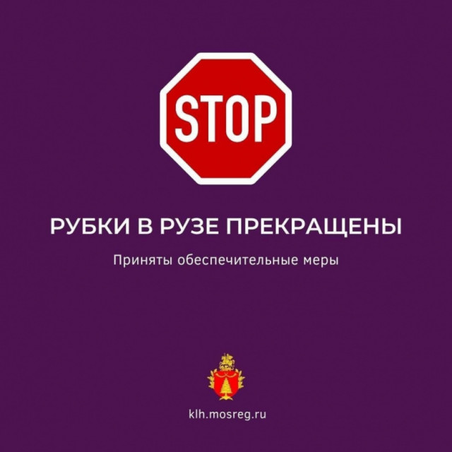 В Рузе поймали организатора незаконного лесоповала