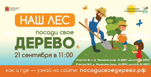 Итоги акции «Наш лес. Посади свое дерево» в Подмосковье