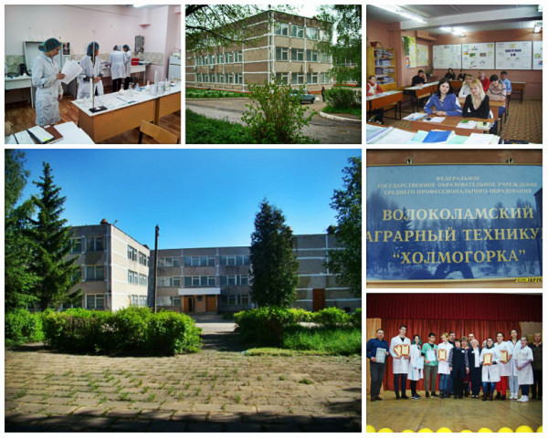 Фестиваль дворовых игр и КВН прошли в зоотехникуме