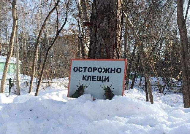 Жителей Подмосковья предостерегли от рано проснувшихся клещей