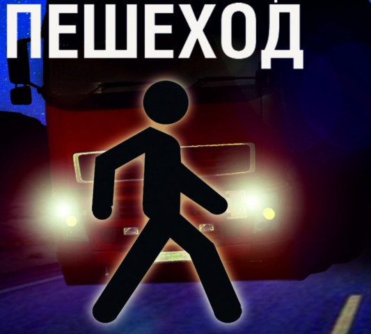 В Волоколамске проходит операция «Пешеход»