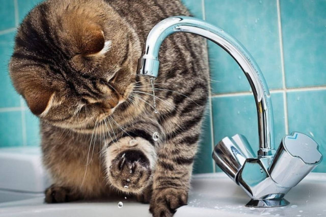 2 июля в Волоколамском округе начинаются отключения горячей воды