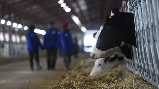 Объем инвестиций в комплекс и завод TH True Milk в Волоколамске составит 500 млн долларов