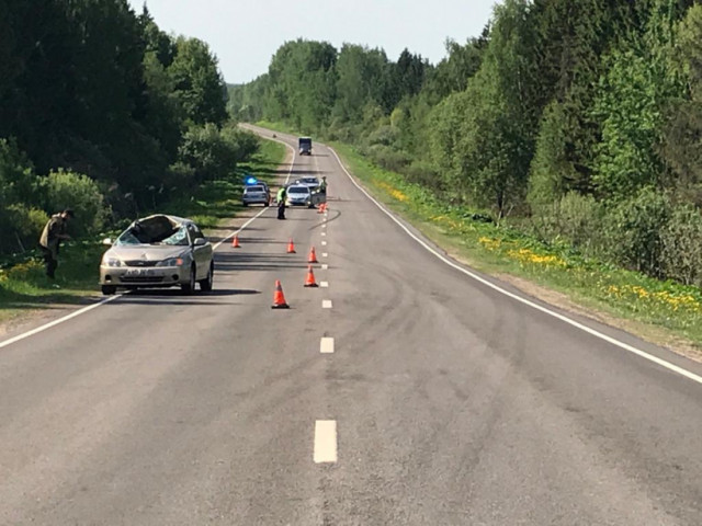 Велосипедист погиб в Волоколамском районе