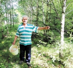 Самодельный лес