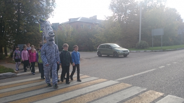 В Волоколамске на пешеходных переходах дежурит Зебра