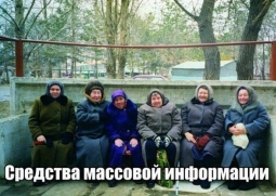 Слухи о ёлочке и пожарных склоках, о неблагодарных псах и унылом полиграфе, а также о многом другом…