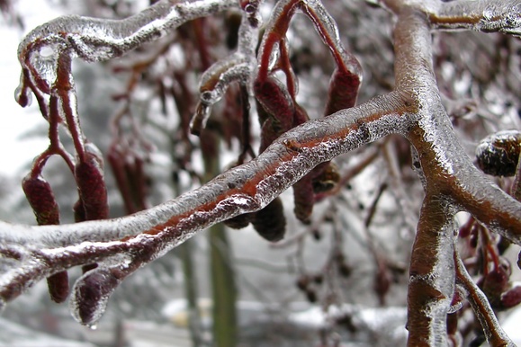 Похолодание придет в Подмосковье к выходным
