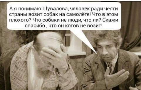 «Моей собаке некомфортно в бизнес-классе»