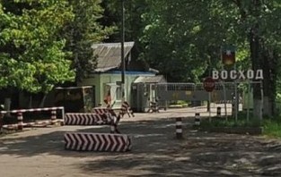 Едросовская Тохта-мышь закрылась в своей норке