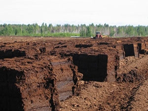 Ресурсный потенциал 407 тонн торфа